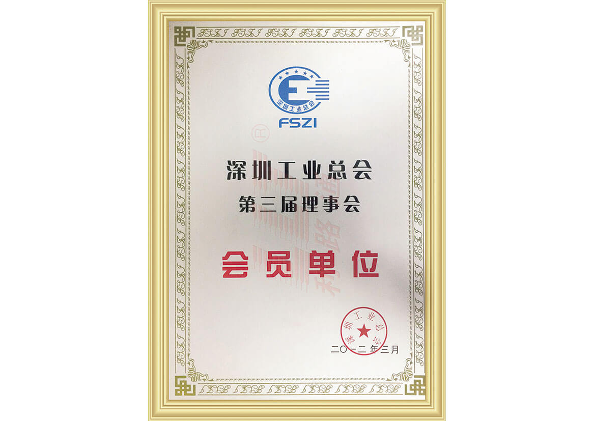 Member of the Third Council of Shenzhen Federation of industry