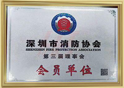 Member Unit of the 3rd Council of the Fire Protection Association