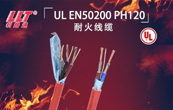 <b>UL EN50200 FIRE CABLE</b>